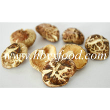 3-4cm Secado Delicioso K Shiitake Mushroom